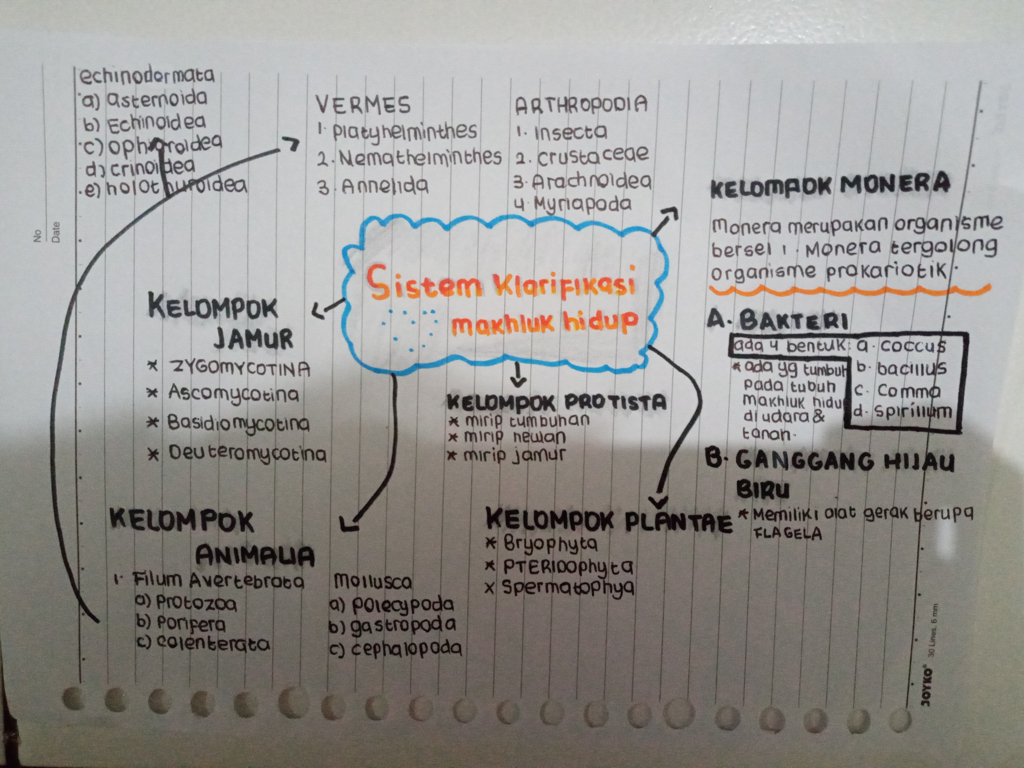 Sampul